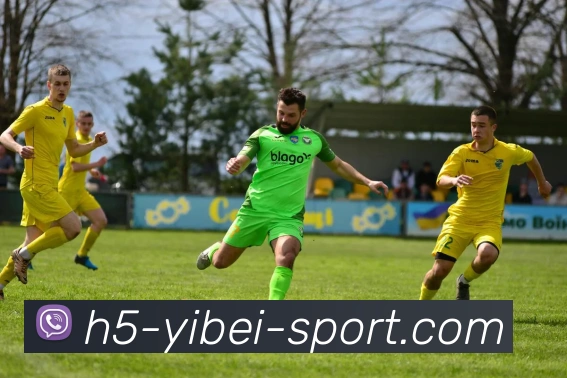 App Interface Preview